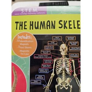 Magnetic Learning Activity STEM in Sealed Tin Human Skeleton  7+